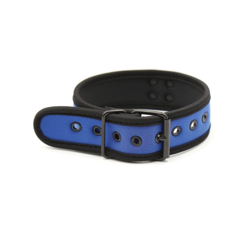 Collar de Neopreno Plesur Azul