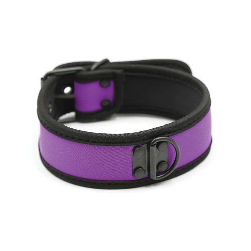 Plesur Neoprene Puppy Collar - Purple