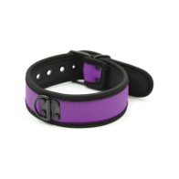 Collar de Neopreno Plesur para Perrito - Púrpura