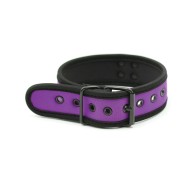 Collar de Neopreno Plesur para Perrito - Púrpura