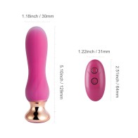 Plug Anal Vibrante Curvado con Control Remoto Pink Holic