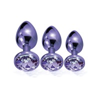 Nixie Jewel Butt Plug Trainer Set - Purple Metallic