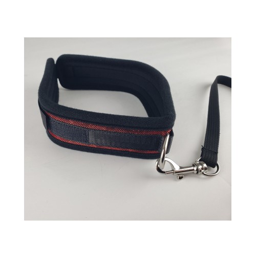 Spartacus Collar and Leash Red - Stylish BDSM Accessory