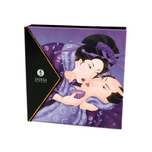 Shunga Geisha's Secret Kit for Couples