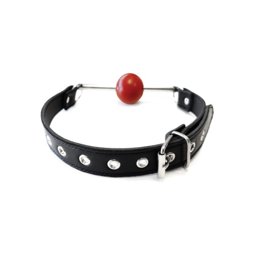 Rouge Leather Ball Gag - Black with Red