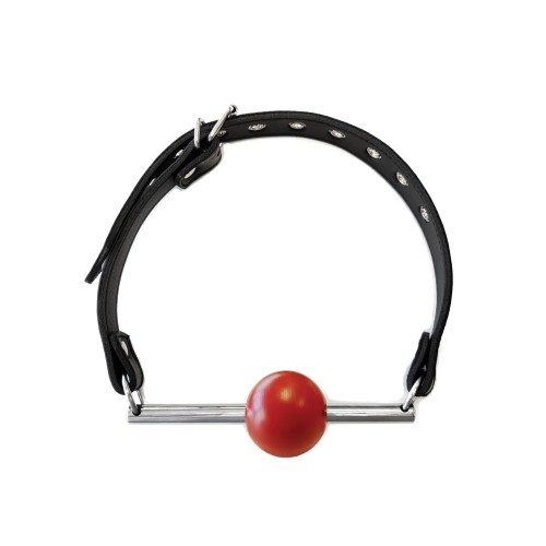 Rouge Leather Ball Gag - Black with Red