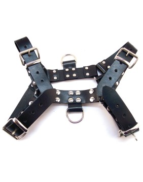 Leather Body Harnesses